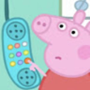 Meet your Posher, Allie